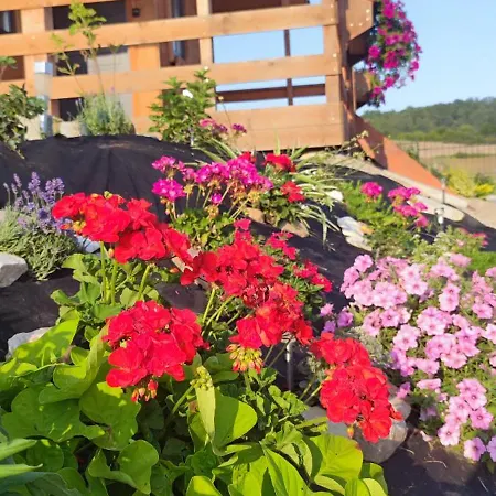 Gorska Oaza - Kotlina Klodzka Lejlighed