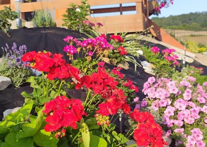 Gorska Oaza - Kotlina Klodzka Lejlighed